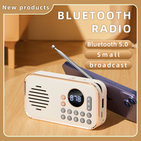 P35 Produits numériques pour personnes âgées Lecteur MP3 portable Radio Fm Haut-parleur Bluetooth sans fil