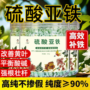 Engrais granulaire au sulfate ferreux 360g pour l'ajustement du pH du sol et les plantes vertes - Product Image 5