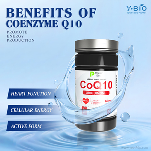 كبسولات يوث المركبة لصحة القلب تحتوي على فيتامين ب3 ومستخلص الأرز الأحمر المخمر ومعتمدة بشهادة تحليل (60 ملغ، 60 كبسولة/زجاجة) - لتحسين الصحة - Product Image 5