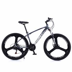 <span class=keywords><strong>Bicicleta</strong></span> económica urbana <span class=keywords><strong>Lowrider</strong></span> de 26 pulgadas con horquilla de acero con freno de disco para adultos en China - Product Image 6