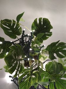 5MM mặt dây đèn 100 Đếm cây Giáng Sinh đèn LED Trang Trí Led Ánh Sáng Ý Tưởng Sản Phẩm Mới 2019 Led - Product Image 5