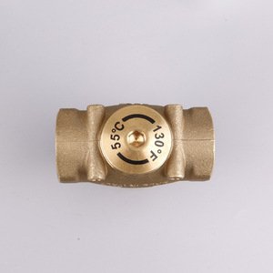 Vanne antigel en laiton, réducteur de pression 16 bars, à flux unidirectionnel, type rapide pour systèmes de chaudières - Product Image 1