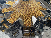 CE automatique sac faisant la date impression noix de cajou croustilles multifonctionnel collation popcorn pesant machine d'emballage