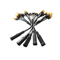 Câble de chargeur de batterie personnalisé Amass XT30 XT60 XT90 avec connecteurs mâle et femelle, faisceau de câbles assemblé