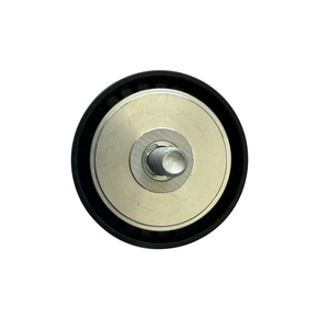 Tensor de Correa Ajustable de Alta Calidad con Rodamiento, Número OE 1025200XEB02 - Product Image 2