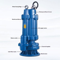 Pompe submersible centrifuge WQX à basse pression et haute levée, sans blocage, pour eaux usées, 2 pouces, 380V, triphasée, pour usage industriel OEM