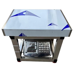 Báscula Electrónica Industrial Digital Veidt TCS de 150 kg, 30*40 cm, Fabricada en China, Yiwu Yongkang TCS-T 150 kg, 30*40 cm - Product Image 6