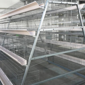 鶏小屋ワイヤーロッド鋼 + ホットディップ亜鉛メッキプロセス自動家禽小屋1年保証 - Product Image 1