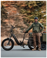 Fat Tire Bicicleta eléctrica para adultos EE. UU. Stock E-bike FEbike Bicicleta eléctrica Batería de litio Bicicleta eléctrica Bicicleta de carga