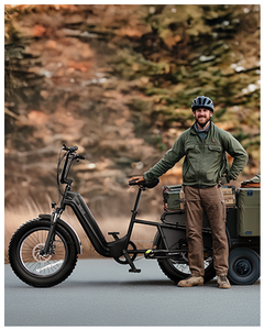 Gros pneu électrique <span class=keywords><strong>E</strong></span> vélo pour adultes USA Stock <span class=keywords><strong>e</strong></span>-<span class=keywords><strong>bike</strong></span> FEbike vélo électrique batterie au Lithium vélo électrique Cargo <span class=keywords><strong>Bike</strong></span> - Product Image 4