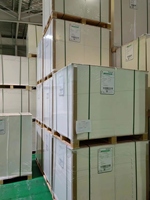 Papier kraft IP SUN 170-400 g/m² simple face couché FBB C1S, carton blanc pour emballage alimentaire et de boissons, cadre photo