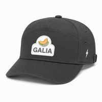 Casquette structurée à 7 panneaux avec patch melon brodé en 3D, logo personnalisé, OEM, ODM, marque privée, vente en gros de chapeaux