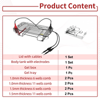 Appareil d'électrophorèse sur gel d'agarose WEIAI Mini, 11 puits, pour l'analyse de l'ADN, de l'ARN et de la PCR, système d'électrophorèse horizontale sur gel de laboratoire