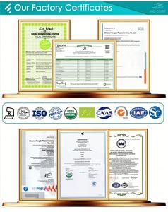 वयस्कों के लिए ओएम प्री-वर्कआउट पूरक पूरक के लिए ओमेगा प्री-वर्कआउट पूरक पूरक - Product Image 5