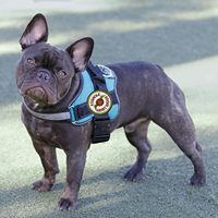 Paquete de parche bordado de fuerzas tácticas velrco con juego de ganchos de bucle completo para gorras mochilas sombreros