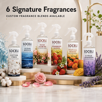 SOCELI Désodorisant longue durée pour voiture, spray neutralisant les odeurs 500ml pour magasins, restaurants, hôtels, commande en gros, usine chinoise