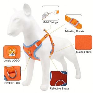 Ensemble harnais et laisse pour chien, simple, réglable, en nylon, harnais de poitrine réfléchissant, respirant, écologique - Product Image 3