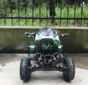 <span class=keywords><strong>Quad</strong></span> 4x4 miniature à 4 roues, refroidi par air, <span class=keywords><strong>49CC</strong></span> 110CC 150CC 250CC - Product Image 4