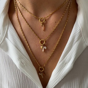 Tendencia personalizada 18K chapado en oro de acero inoxidable primavera broche collar cadenas de moda para el estilo diario para la joyería de verano - Product Image 2