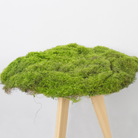 Mousse verte artificielle de qualité supérieure pour la décoration de mariage, tapis de gazon artificiel en plastique souple pour la décoration intérieure et extérieure