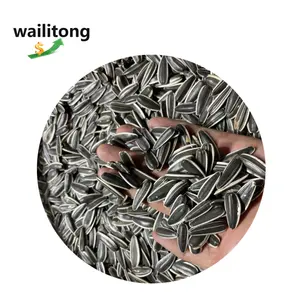 High-Class New Crop Sunflower Seeds Price Wholesale Chinese Sunflower Seeds Different Type Organic Sunflower Seeds In Shell