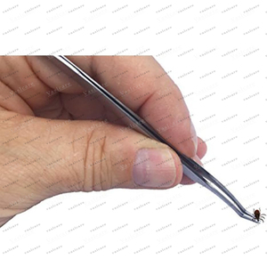 Kit d'outils pour enlever les tiques, pinces hygiéniques nettoyées par ultrasons, résistantes à la rouille, pour enlever les tiques chez les humains, les chiens et les chats, étui en cuir - Product Image 2