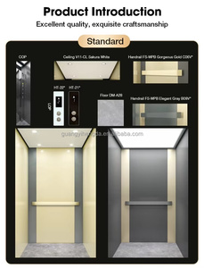 Ascenseur de passagers sûr et fluide, style marbre, plateforme élévatrice, 2 à 6 étages, ascenseurs de villa <span class=keywords><strong>pour</strong></span> personnes handicapées - Product Image 4