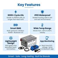 Batterie de chariot de golf à décharge profonde 36V LiFePO4, kits de conversion de batterie lithium électrique 48V 72V 96V 100Ah 105Ah 200Ah avec chargeur