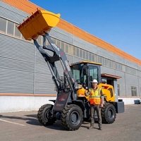 Hydraulischer Radlader mit Dieselmotor für Lager, Baustellen und Materialtransport