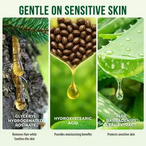 Private Label 40 <span class=keywords><strong>strisce</strong></span> per il corpo e 20 piccole <span class=keywords><strong>strisce</strong></span> per il viso rimuovono i capelli indesiderati 2 <span class=keywords><strong>in</strong></span> 1 <span class=keywords><strong>strisce</strong></span> di cera per la depilazione per uso domestico - Product Image 5