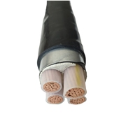 Cable Eléctrico de Control Subterráneo Impermeable de Alto Rendimiento Serie YJV22, XLPE, Cobre, 0.6/1KV 3*120+1*70 PVC