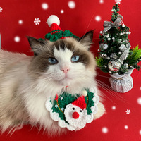 Nouveau chapeau de Noël personnalisé fait main pour animaux de compagnie, écharpe en laine tricotée mignonne pour chat, bavoir pour chien, style dessin animé, accessoires d'hiver