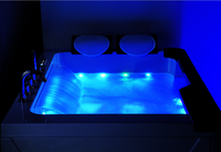 Baignoire SPA sexy de luxe avec chute d'eau Jacuzzier à bulles d'air