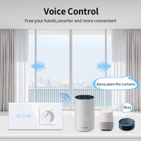 Prise intelligente Bingoelec standard UE avec interrupteurs à rideau, panneau tactile en verre, commande vocale, noir doré, pour maison connectée