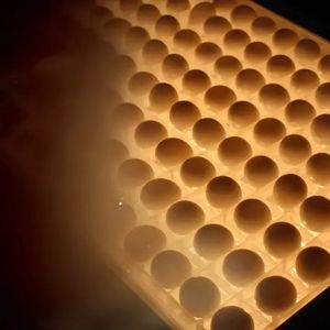 Incubadora Automática de Huevos de Avestruz, Ganso y Pato de 220V, Material PP, Luz Fría, Máquina de Inspección de Cría, Nueva y de Alta Calidad - Product Image 3