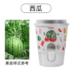 Xiaohuayi Mini Planting Pot With Drainage Hole For Children 4-6 Years Old Desktop Self Watering Flower <b>Planter</b> Toy - Product Image 2