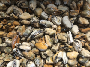 Carne congelata mytilus edulis prezzo di fabbrica carne cozze senza <span class=keywords><strong>guscio</strong></span> - Product Image 6