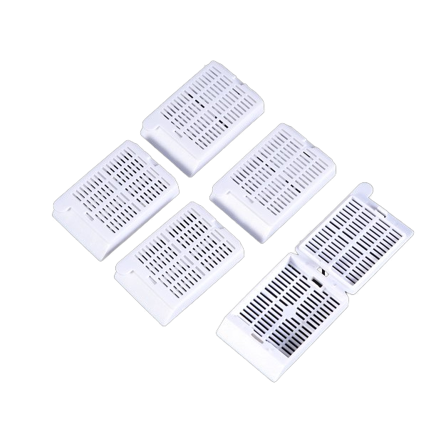 Lab Use Histology Tissue Embedding Cassette Round and Square Plastic (PP) Cassette for Medical Application OEM Customizable