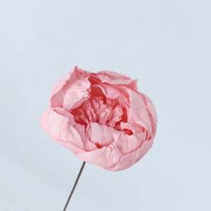 Flores Secas de Peonía <span class=keywords><strong>Preservadas</strong></span> en Madera Sola Multicolor, Venta Especial en Instagram, <span class=keywords><strong>Tallo</strong></span> Largo, Decoración para el Hogar, para el Día de la Madre y Pascua - Product Image 4