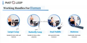 New Product Ideas 2024 For Women Pemf Magnetic Therapy Device Human Pemf Magnetic Therapy Device