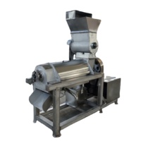 Grote industriële automatische appel-peer-sinaasappelpers met hoge productiviteit, roestvrijstalen extractor voor fruitverwerkingsbedrijven