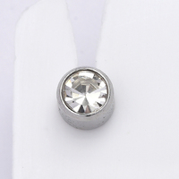 Staalkleur April Geboortesteen Dozijn Oren Piercing Oorknopjes Allergievrije Roestvrijstalen Piercing Sieraden Gebruiken In Piercer