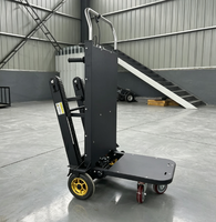 Chariot Élévateur Électrique Certifié CE pour Escaliers, Capacité de Charge 300 kg, Plateforme en Acier, Chariot à Palettes pour Monter les Escaliers