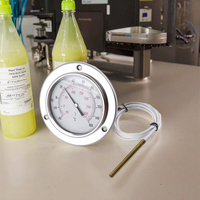 Pressure Capillary Thermometer Stainless Steel -40~320 Liquid Filled Remote Reading Industrial Pipeline OEM/ODM