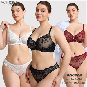 <span class=keywords><strong>Ensemble</strong></span> soutien-gorge et culotte en <span class=keywords><strong>dentelle</strong></span> pour <span class=keywords><strong>femme</strong></span>, avec armatures, en maille transparente brodée, fabrication OEM Waistdear - Product Image 1