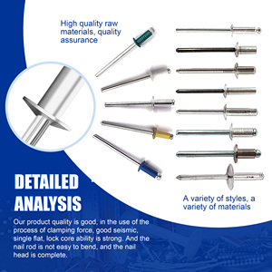 <span class=keywords><strong>Rivet</strong></span> aveugle en acier inoxydable ont des spécifications complètes et haute précision - Product Image 2