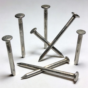Common Steel Zinc Plated Smooth Shank Flat/Round Head Sharp Point <b>Nails</b> - Product Image 1