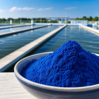 Poudre de Phycocyanine E3 E6 E18 E25 Extrait de Spiruline Bleue Soluble dans l'Eau Vente en Gros Antioxydant pour Adultes Marque Privée