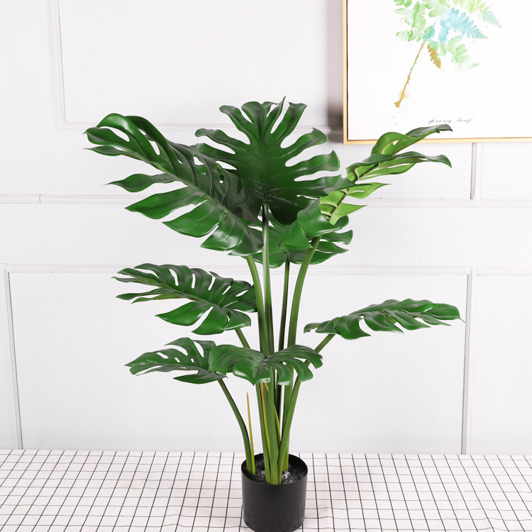 Écaille de tortue verte 98CM
