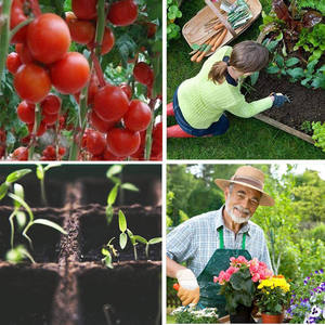 Bandejas de Germinación y Crecimiento de <span class=keywords><strong>Semillas</strong></span> Duraderas y Reutilizables de PP Rectangulares con 21/32/50/72/105/128 Celdas para Flores, Vegetales y Plantas, para Jardín y Vivero - Product Image 5